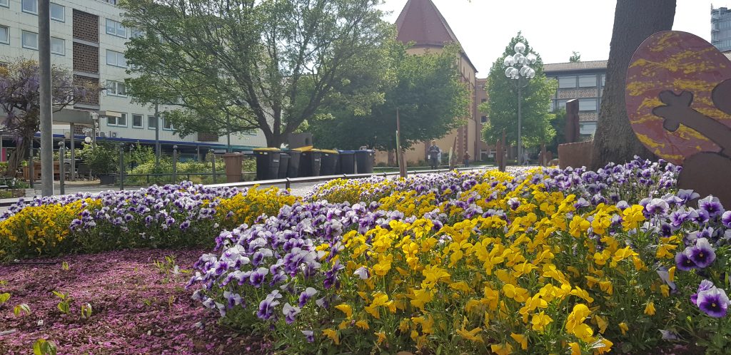Frühling Blumenhof Barfüßerkirche